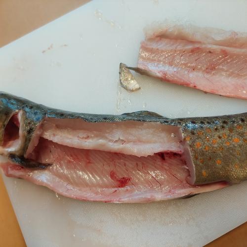 Fisch