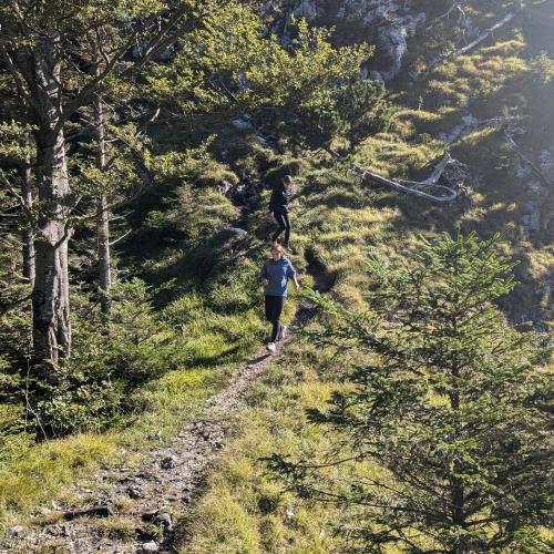 4a_Wandertag_Herbst_24