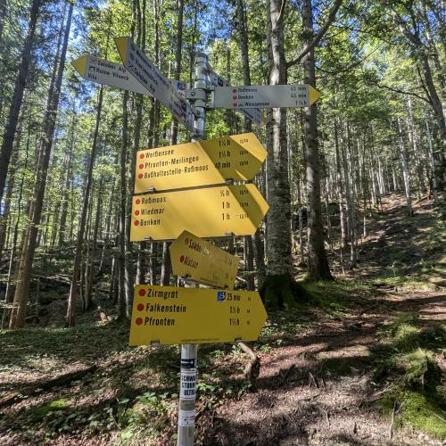 4a_Wandertag_Herbst_24