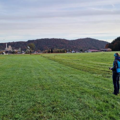 Flieger 