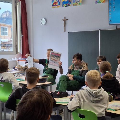 Kücken 