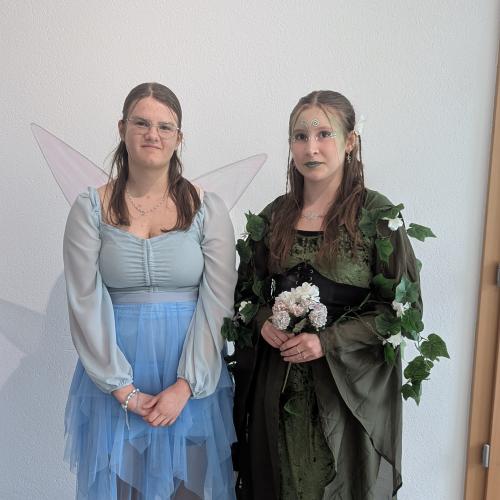 MS_Vils_Fasching_2025