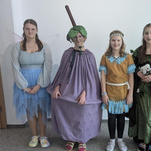 MS_Vils_Fasching_2025