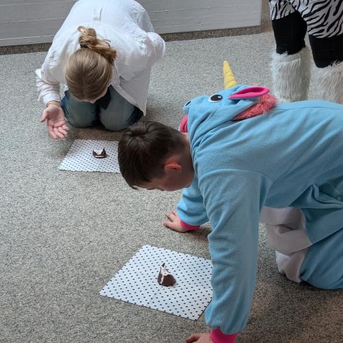 MS_Vils_Fasching_2025