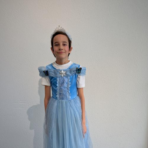 MS_Vils_Fasching_2025