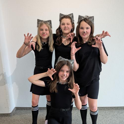 MS_Vils_Fasching_2025