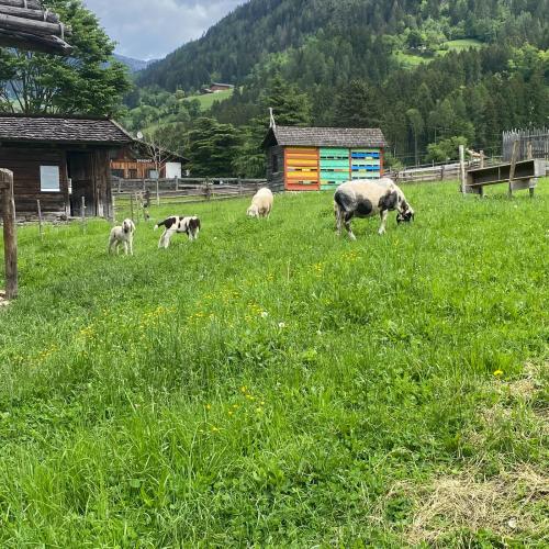 Südtirol