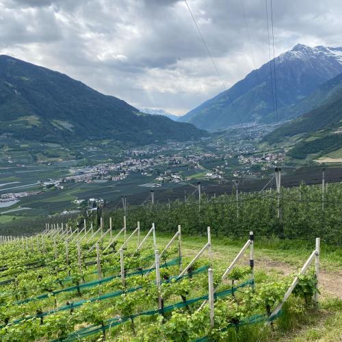Südtirol