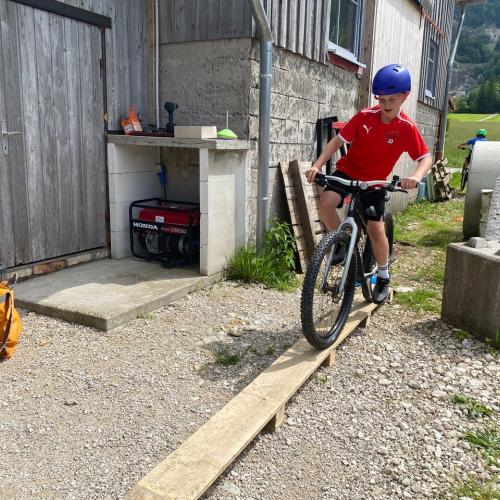 Trialbike 2025