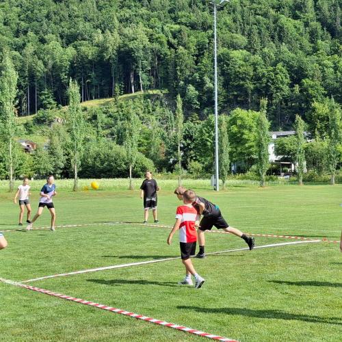 Sport