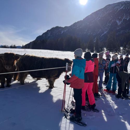 MS_Vils_Wintersprttage_1a_2526