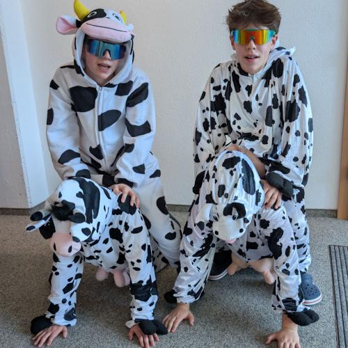 MS_Vils_Fasching_2026