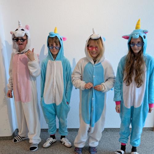 MS_Vils_Fasching_2026