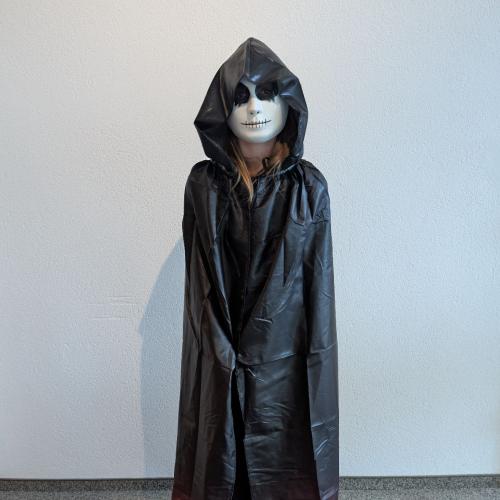 MS_Vils_Fasching_2026