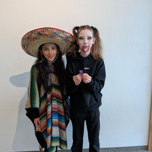 MS_Vils_Fasching_2026