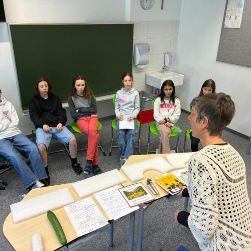 Lesekino_2026_MS_Vils