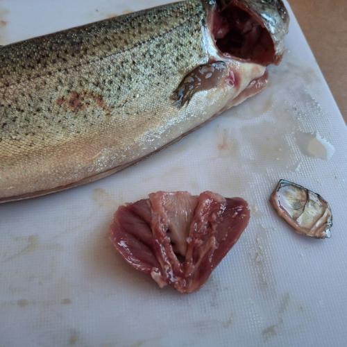 Fisch
