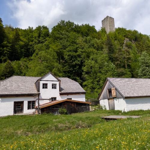 Lehrerfortbildung_Hammerschmiede