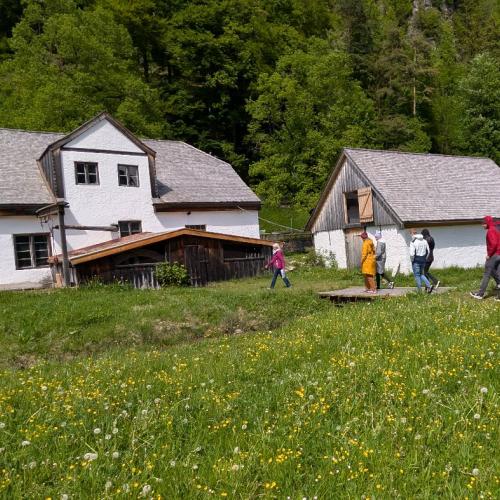 Lehrerfortbildung_Hammerschmiede