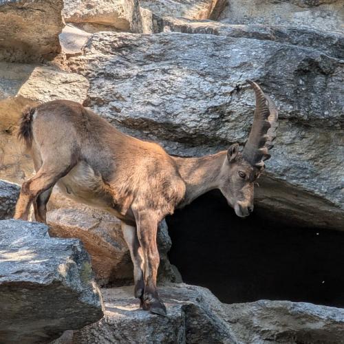 Innsbruck_2026