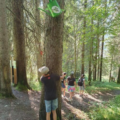 2a