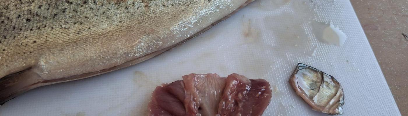 Fisch