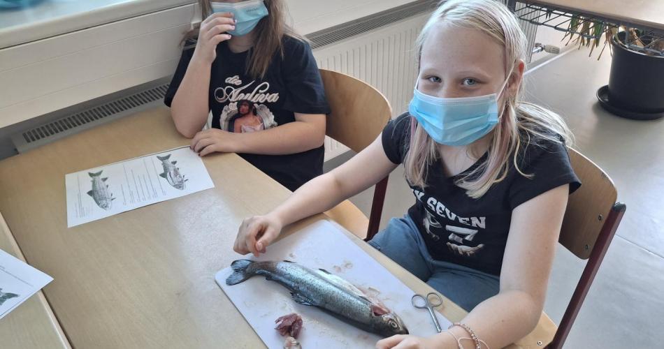 Fisch